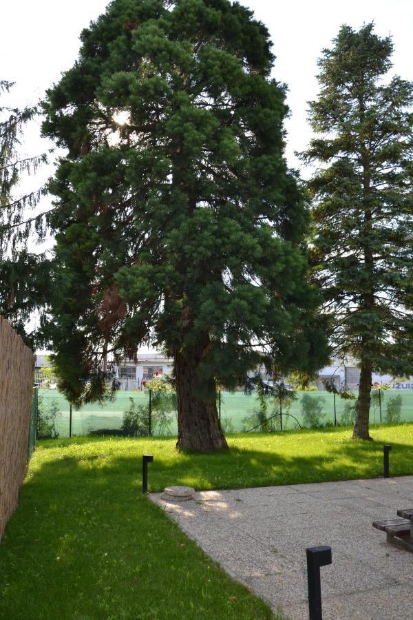 Apartament Akvamarin *